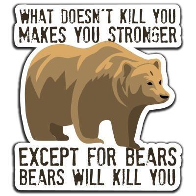 Bear Safety Decal (What doesn't kill you...) - The First Aid Gear Shop
