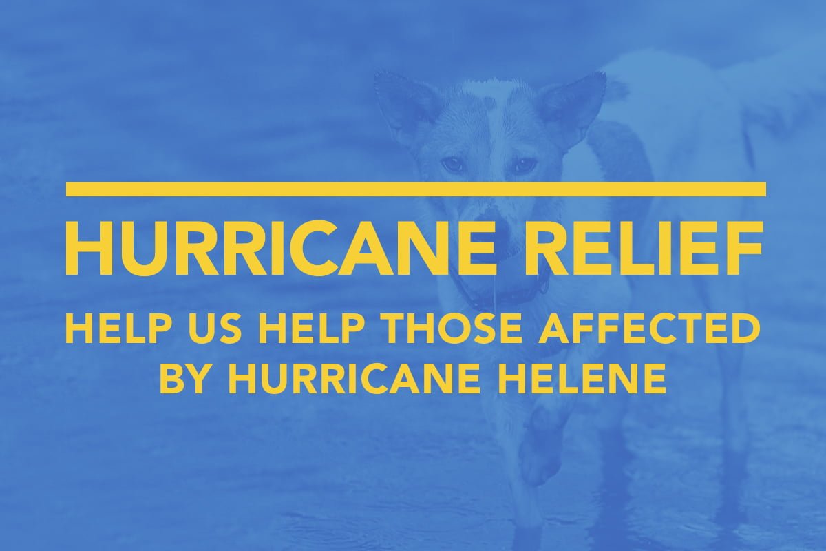 Hurricane Helene Relief - First Aid Gear Shop