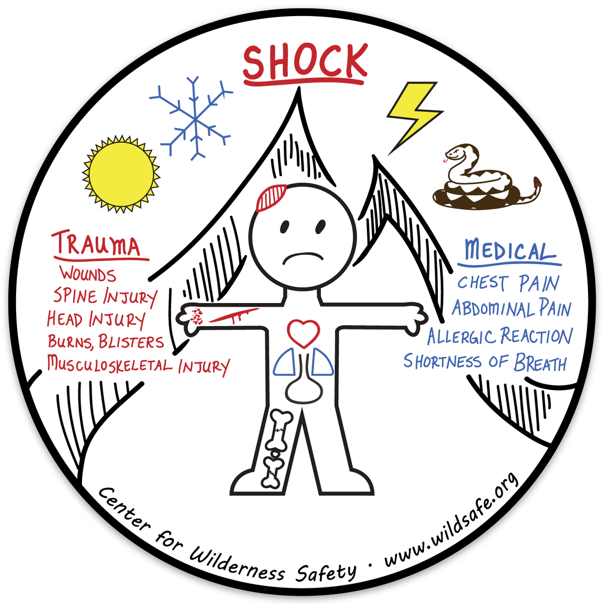 Causes of Shock (Vinyl Decal) - The First Aid Gear Shop