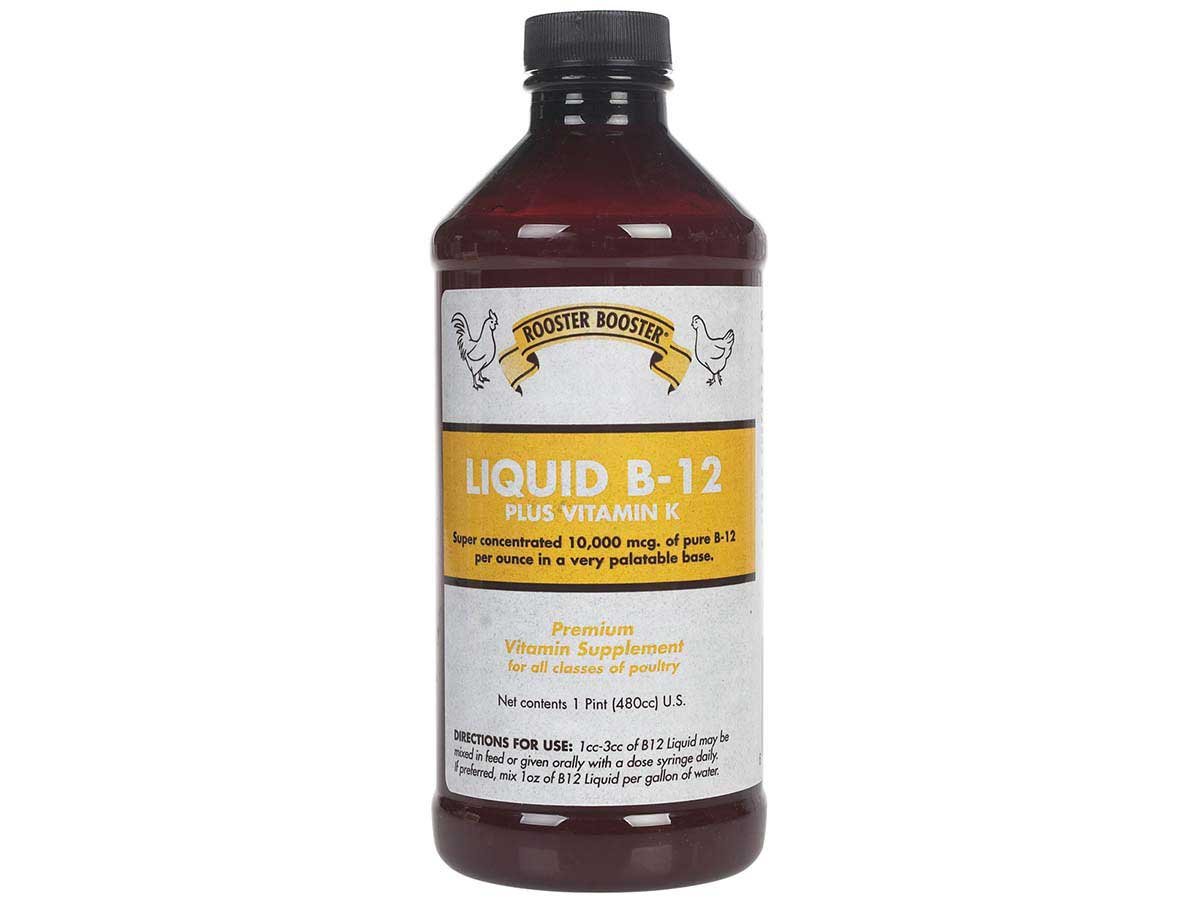 Liquid B-12 + Vitamin K Supplement, 16oz - The First Aid Gear Shop